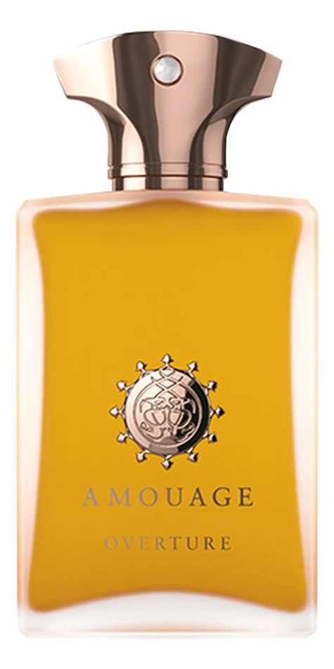 Amouage Overture Man