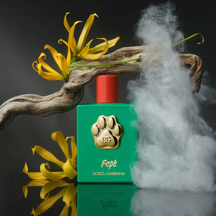 DOLCE & GABBANA Fefe