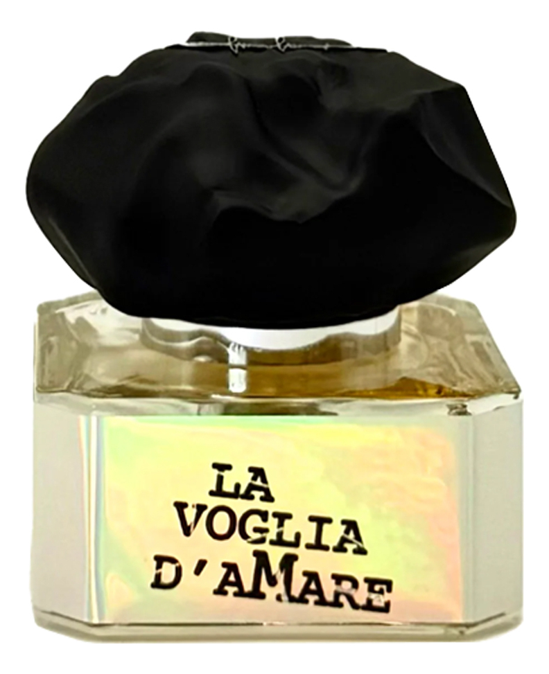 Filippo Sorcinelli La Voglia d'Amare