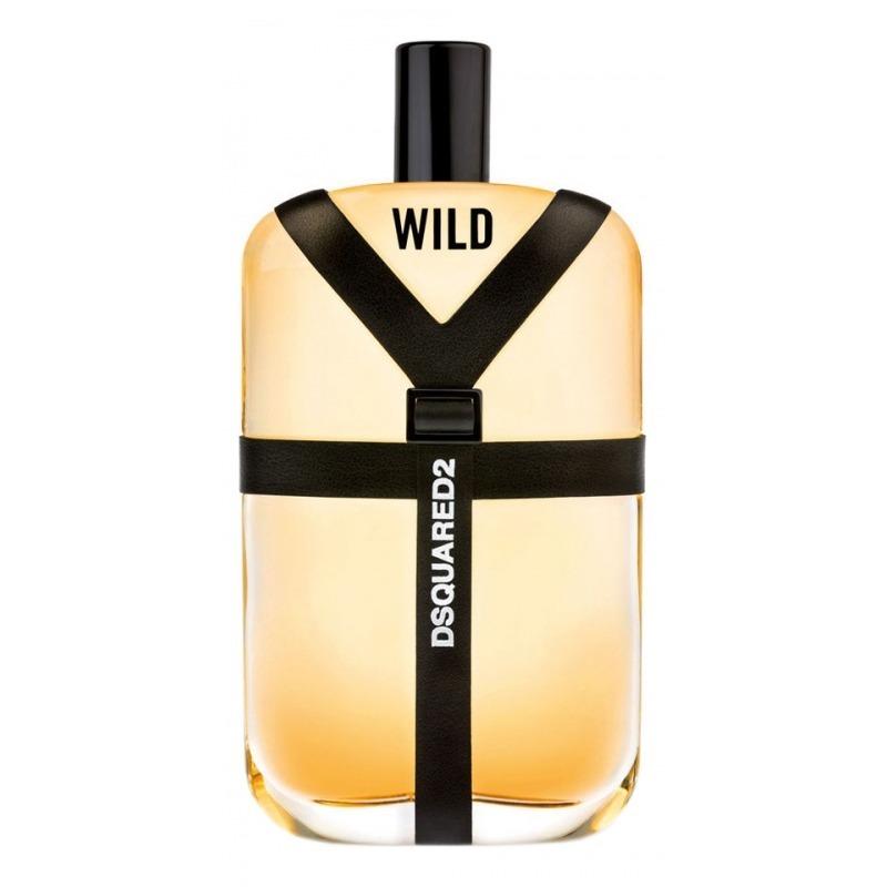 DSQUARED2 Wild