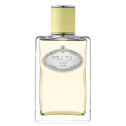 Prada Infusion De Gingembre