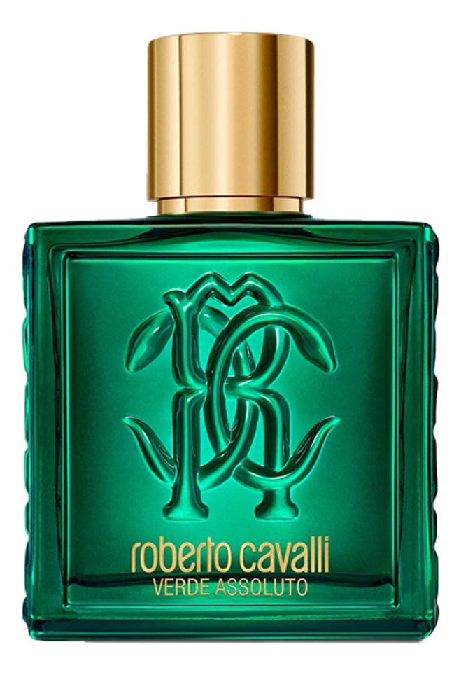 Roberto Cavalli Uomo Verde Assoluto