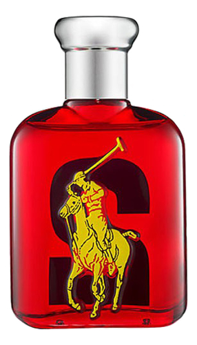 Ralph Lauren Big Pony 2