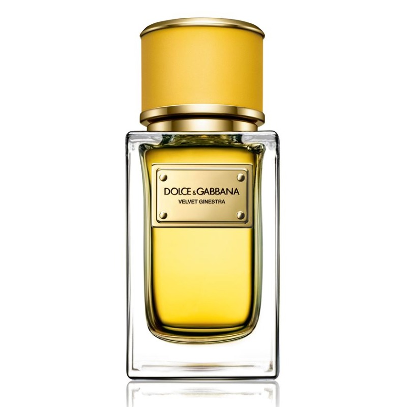 DOLCE & GABBANA Velvet Ginestra