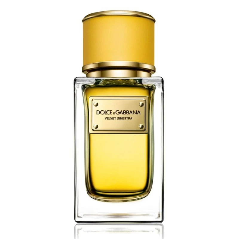 DOLCE & GABBANA Velvet Ginestra