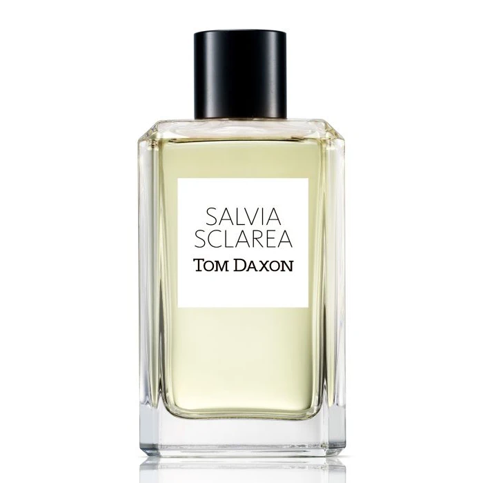 Tom Daxon Salvia Sclarea