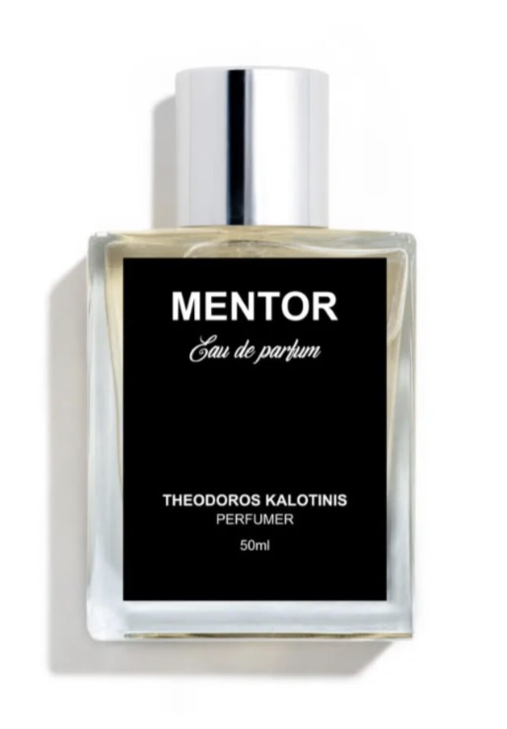 Theodoros Kalotinis Mentor