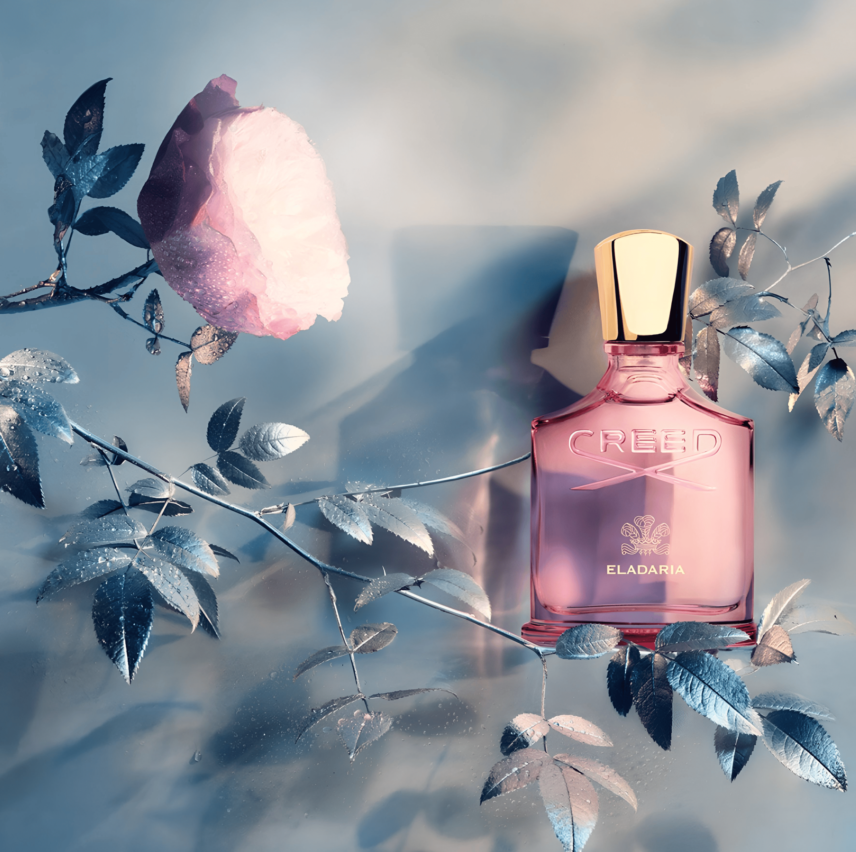 Creed Eladaria