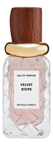 Bottega Veneta Velvet Steps
