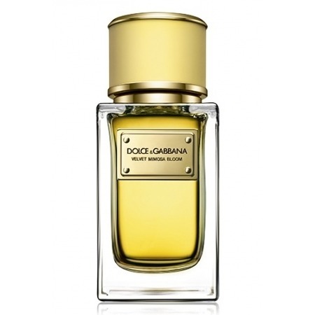 DOLCE & GABBANA Velvet Mimosa Bloom