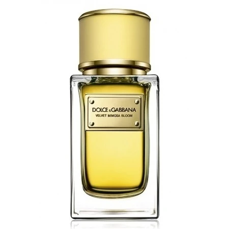DOLCE & GABBANA Velvet Mimosa Bloom