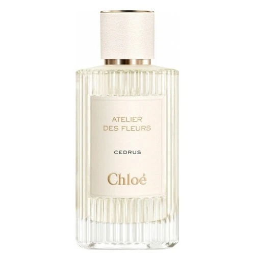 Chloe Atelier Des Fleurs Cedrus