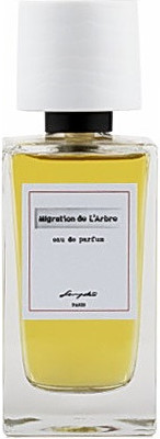 Senyoko Migration de L'Arbre