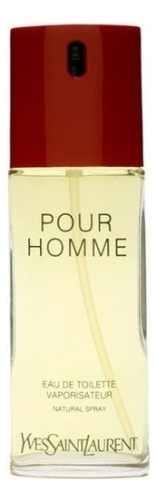 Yves Saint Laurent Pour Homme
