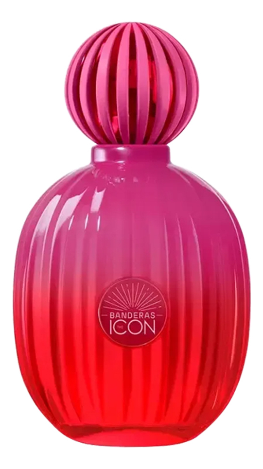 Antonio Banderas The Icon Supreme for Women