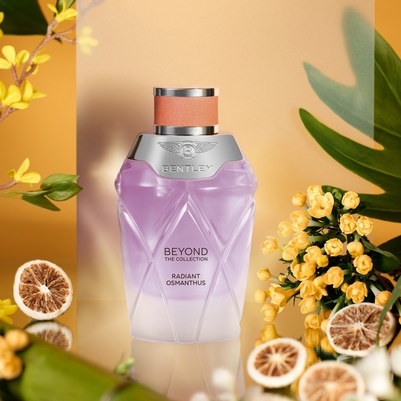 Bentley Radiant Osmanthus