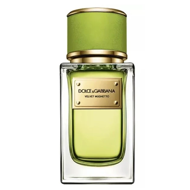 DOLCE & GABBANA Velvet Mughetto
