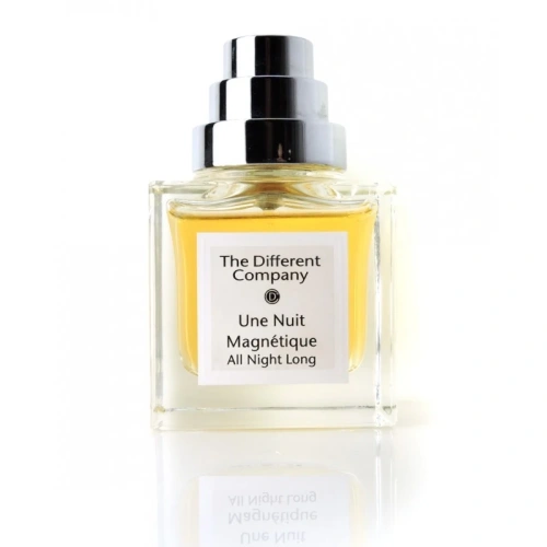 The Different Company Une Nuit Magnetique - All Night Long