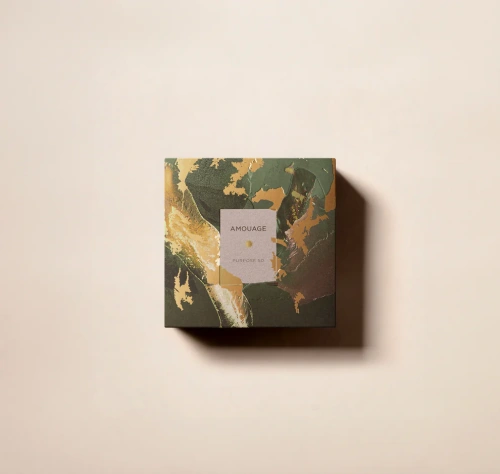 Amouage Purpose 50