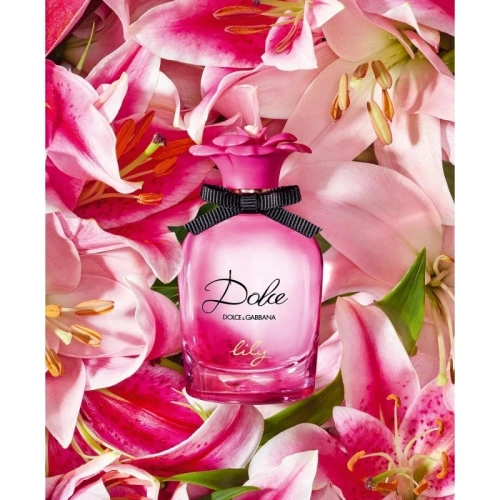 DOLCE & GABBANA Dolce Lily