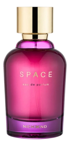 Nicheend Space