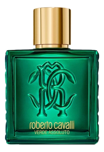 Roberto Cavalli Uomo Verde Assoluto