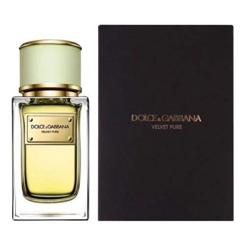 DOLCE & GABBANA Velvet Pure