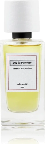 Senyoko Une Ile Pluvieuse