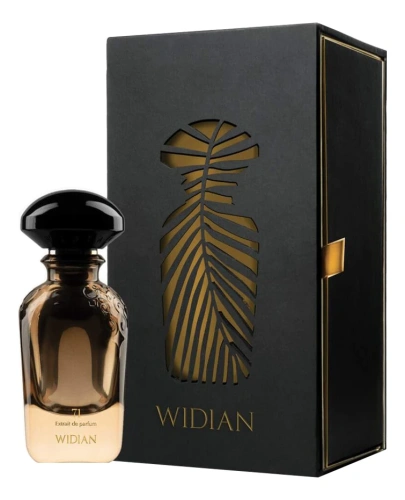 WIDIAN Limited 71