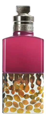 Dries Van Noten Velvet Violet