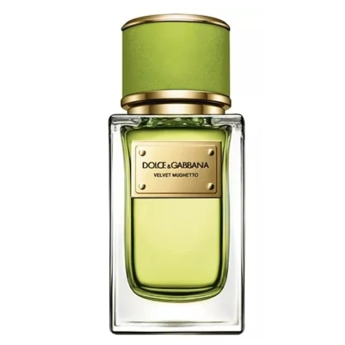 DOLCE & GABBANA Velvet Mughetto