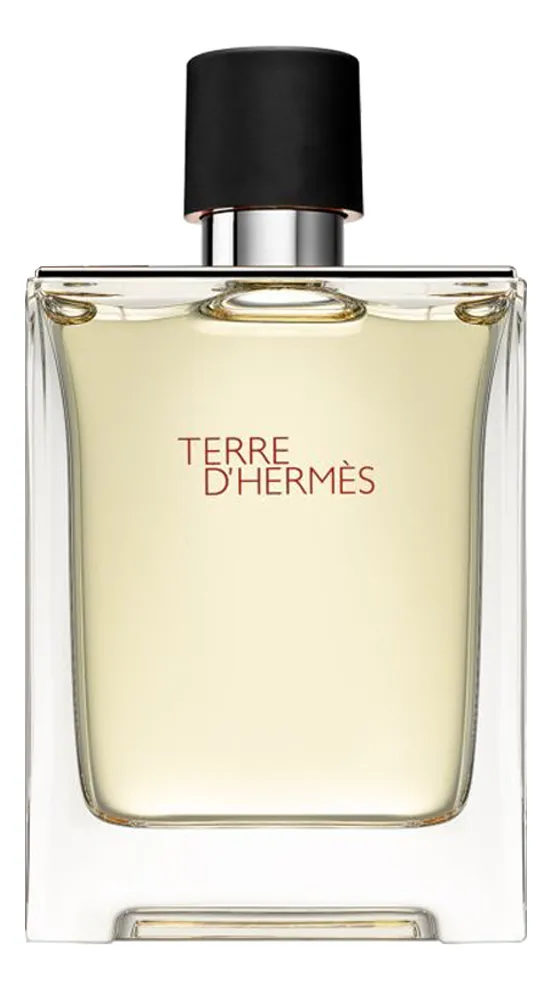 Hermes Terre d’Hermes Pour Homme Туалетная вода для мужчин 100 ml тестер