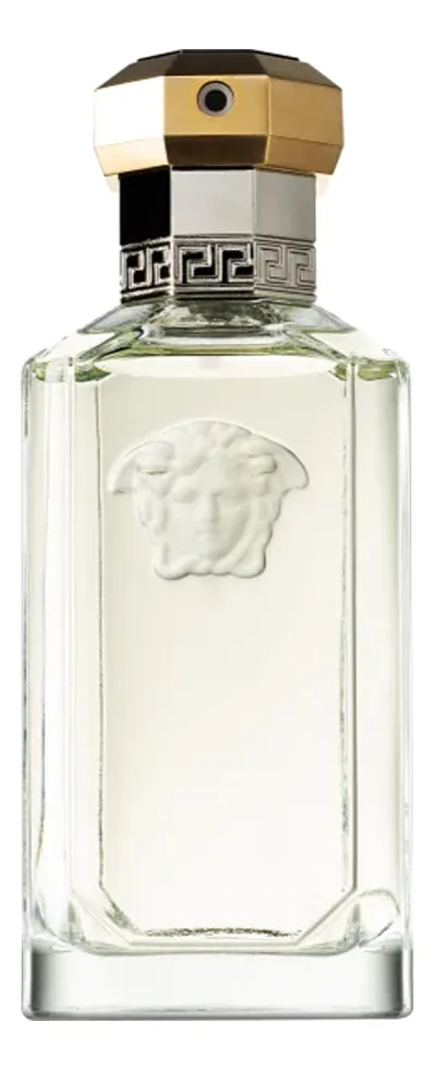 Versace The Dreamer Туалетная вода для мужчин 100 ml тестер