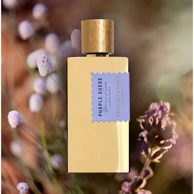 Goldfield & Banks Purple Suede