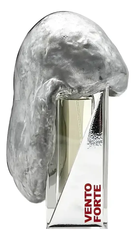 Filippo Sorcinelli Vento Forte