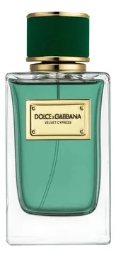DOLCE & GABBANA Velvet Cypress