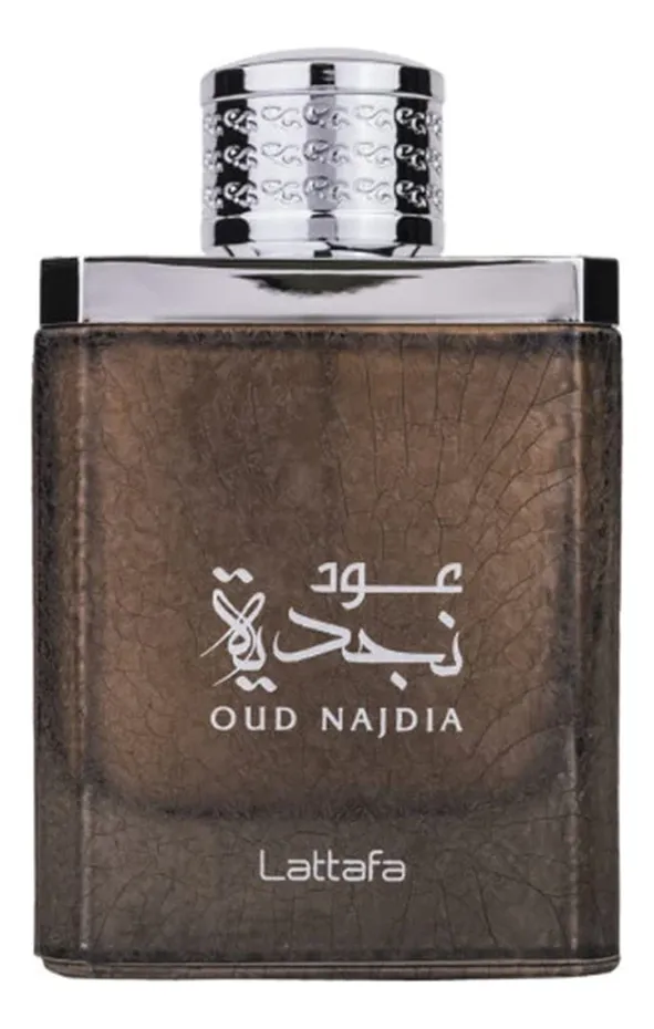 Lattafa Perfumes Oud Najdia Парфюмерная вода унисекс 100 ml тестер