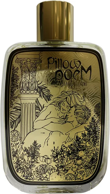 Pierre Guillaume Pillowpoem