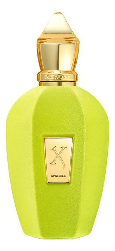 Xerjoff Amabile Парфюмерная вода унисекс 100 ml тестер