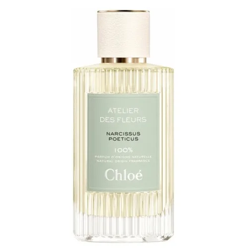 Chloe Narcissus Poeticus