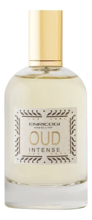 Enrico Gi Oud Intense Парфюмерная вода унисекс 100 ml тестер