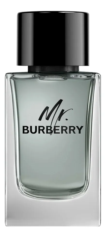 Burberry Mr.  Туалетная вода для мужчин 100 ml тестер