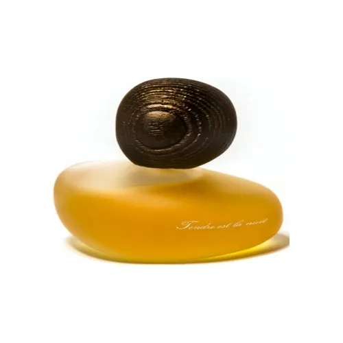 Majda Bekkali Tendre Est La Nuit Clair