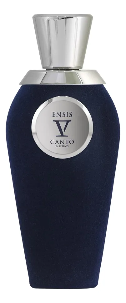 V Canto Ensis Духи унисекс 100 ml тестер
