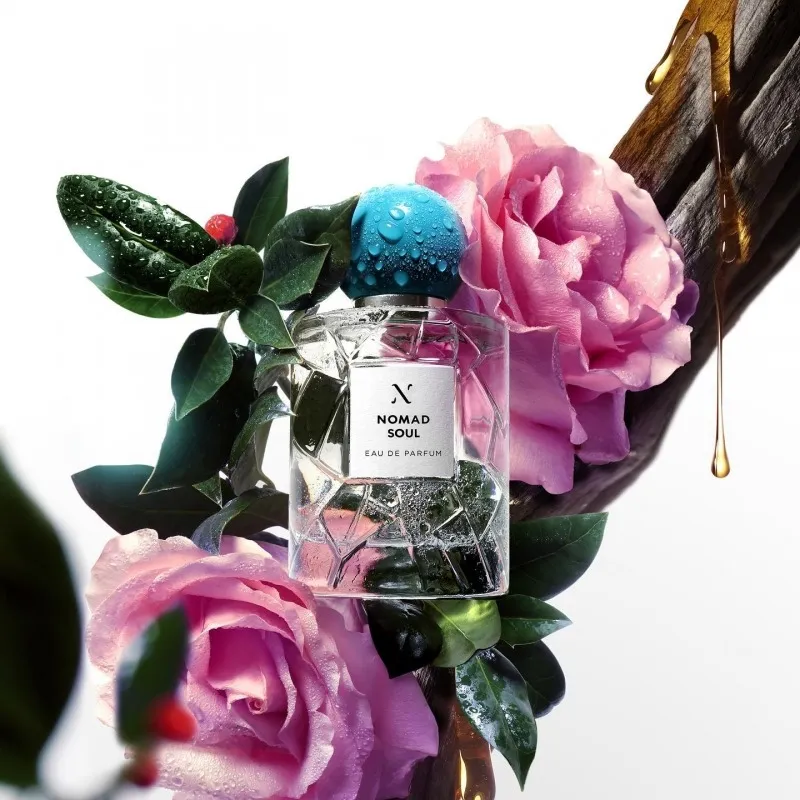 Les Soeurs de Noe Nomad Soul