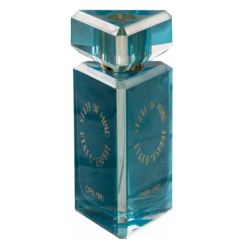 State of Mind Open Mind