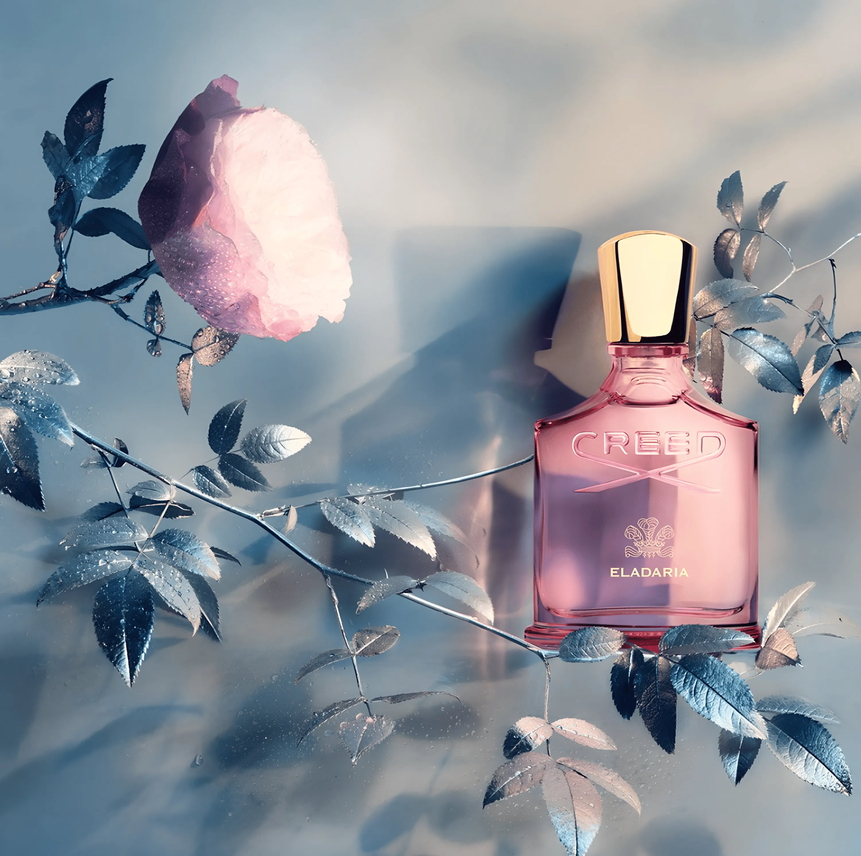 Creed Eladaria
