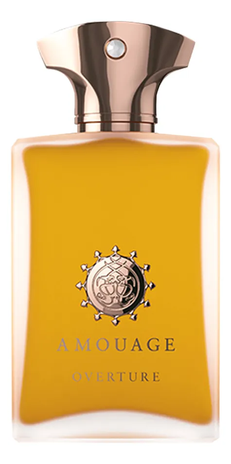 Amouage Overture Man Парфюмерная вода для мужчин 100 ml тестер