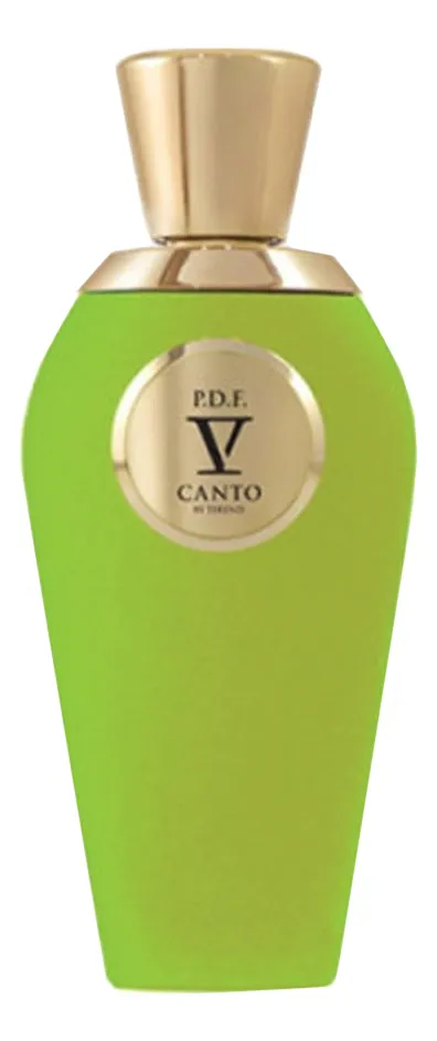 V Canto P.D.F. Духи унисекс 100 ml тестер
