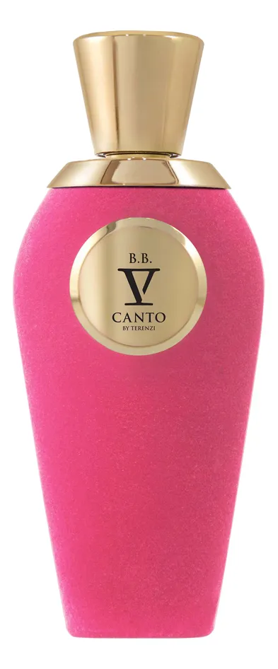 V Canto B.B. Духи унисекс 100 ml тестер